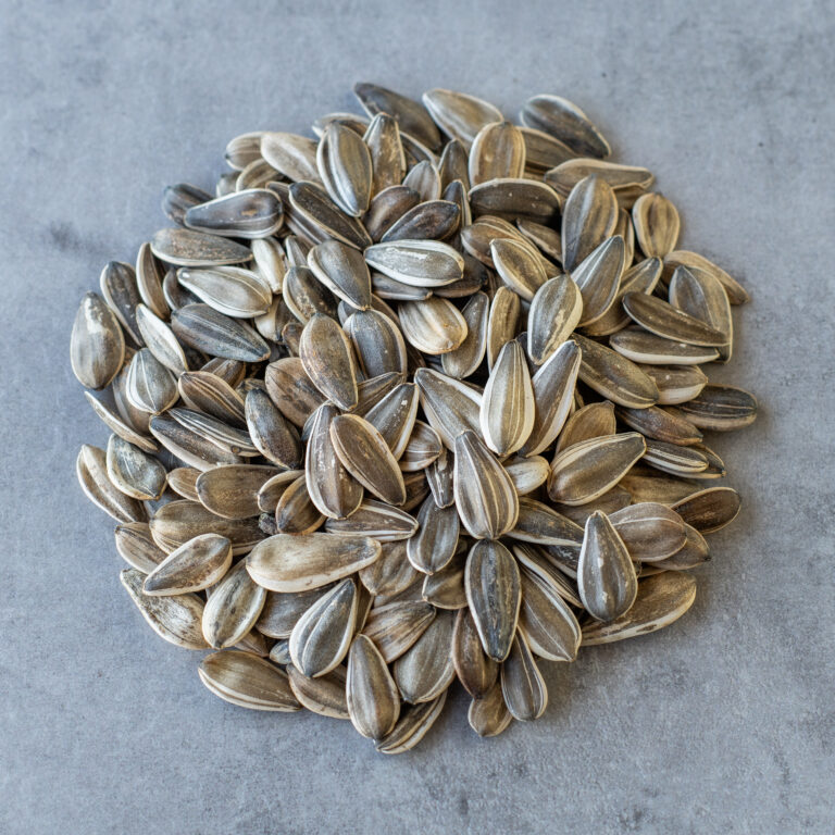 Jumbo Sunflower Seed Raw California Gourmet Nuts Online Shop